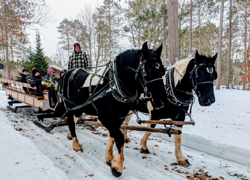 Discovery Center winter sleigh rides